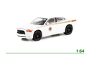 Dodge Charger Absaroka Cnty 1:64